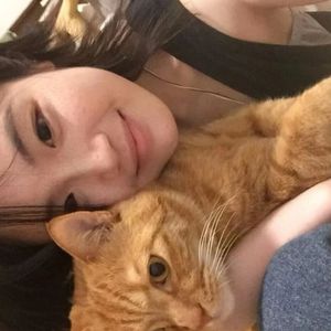 成人做爱动态视频
