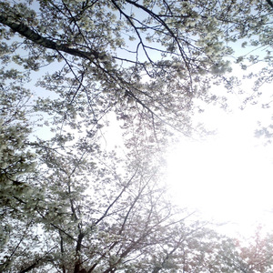 成人做爱动态视频
