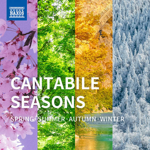 成人做爱动态视频
